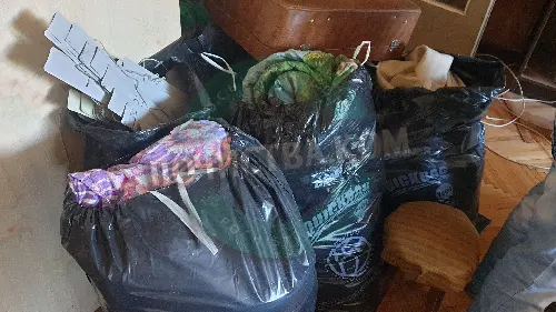 Почистване на жилища и помещения след смърт в Свищов