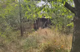 Как се връща редът след тежък случай