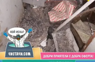 Начини за ефективно обезпаразитяване на имоти