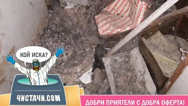 Начини за ефективно обезпаразитяване на имоти