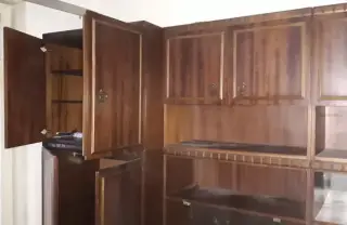 Стъпки за разчистване на жилища от следи на мъртви животни