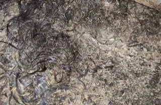 Идеи за бърза дезинфекция на заразени пространства