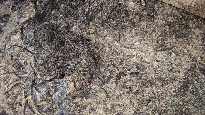 Идеи за бърза дезинфекция на заразени пространства