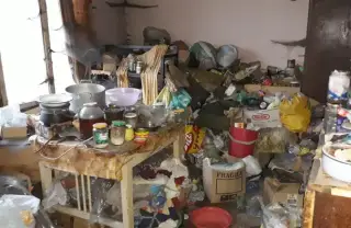 Етапи за възстановяване на хигиената в жилището