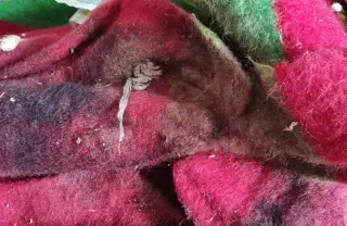 Процедура за справяне със заразен жилищен блок