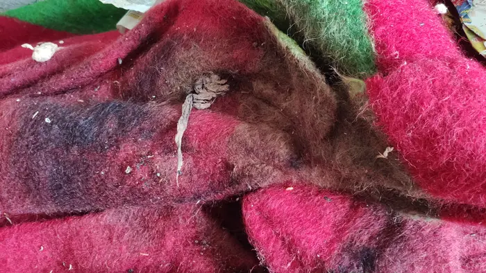 Процедура за справяне със заразен жилищен блок