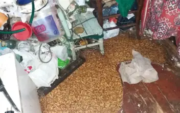 Опция за професионално изчистване след пожар