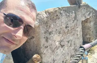 Етапи за справяне с отпадъци от умрели животни