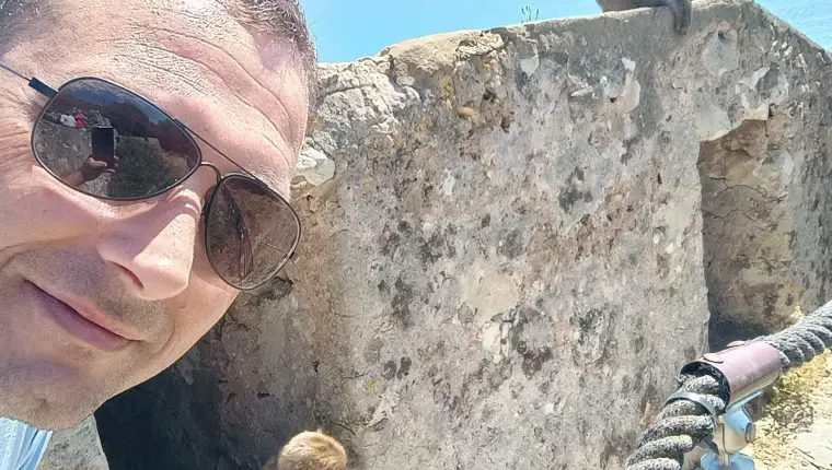 Етапи за справяне с отпадъци от умрели животни