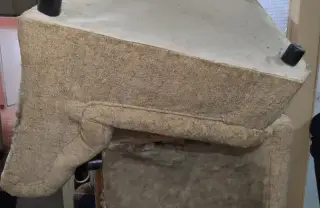 Почистване на дом след боледуване Смолян