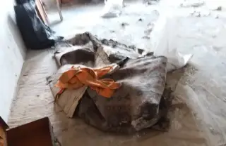 Как да обеззаразите имот след смърт