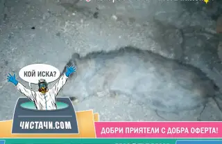 Как се хващат рисковете навреме