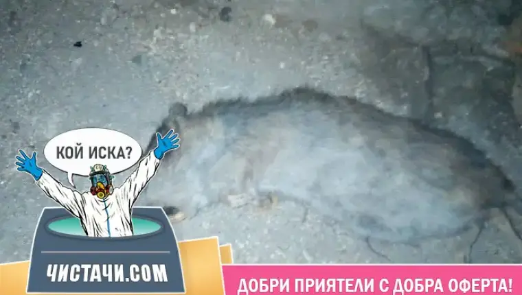 Как се хващат рисковете навреме