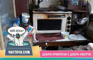 Всичко за почистването след умрели животни