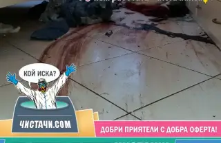 Процедура за чистене на заразен имот?