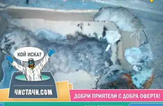Всичко за дезинфекция на жилища след умрели животни